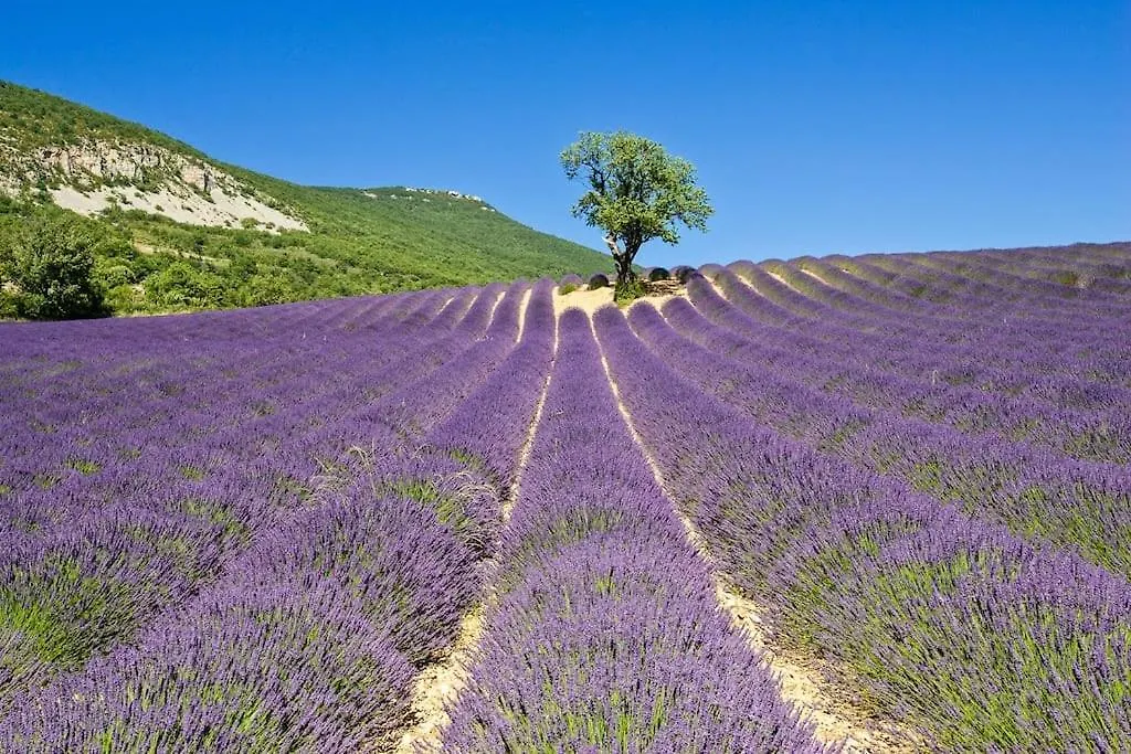 Holiday home Detours En Provence - Lavande 3* Chateaurenard